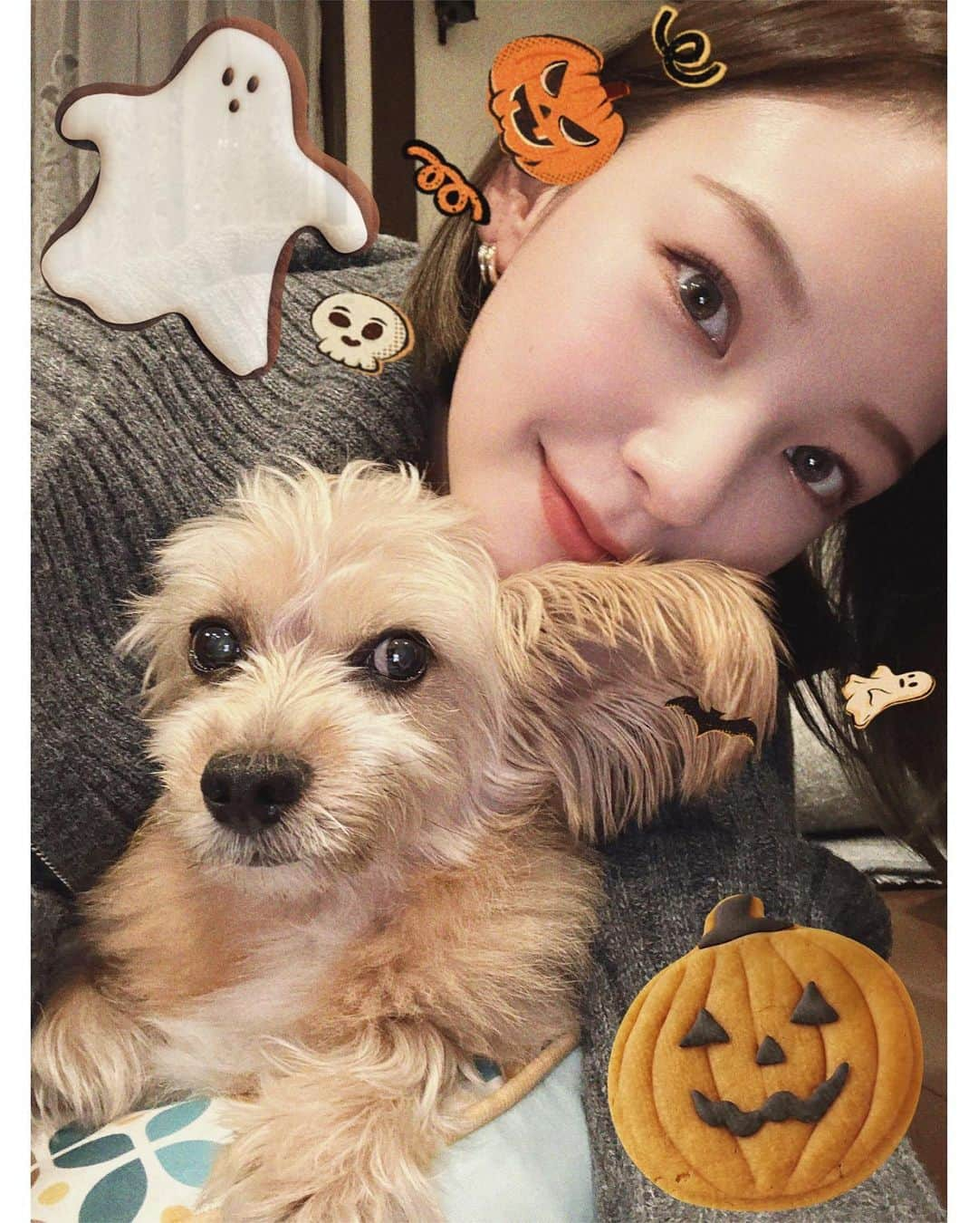 岡田ゆり子のインスタグラム：「🎃🎃🎃  ゼロとハロウィン🎃👻💜  #愛犬　#ハロウィン　#happyhalloween」