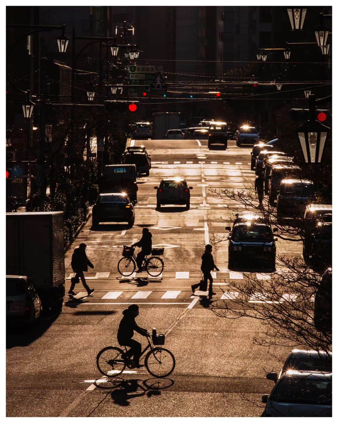 のインスタグラム：「Tokyo 🚲 January 2022  📕My photo book - worldwide shipping daily - 🖥 Lightroom presets ▶▶Link in bio  #USETSU #USETSUpresets #TakashiYasui #SPiCollective #filmic_streets #ASPfeatures #photocinematica #STREETGRAMMERS #street_storytelling #bcncollective #ifyouleave #sublimestreet #streetfinder #timeless_streets #MadeWithLightroom #worldviewmag #hellofrom #reco_ig」