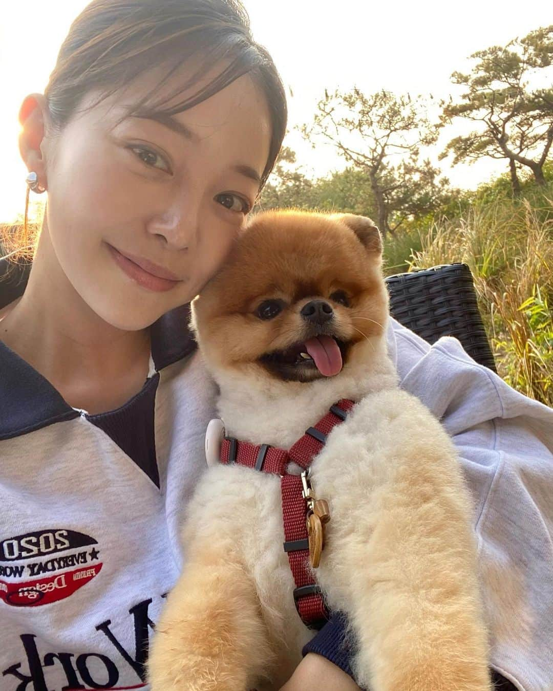 キム・ガウンさんのインスタグラム写真 - (キム・ガウンInstagram)「얘도 심바 쟤도 심바 우리는 심바에요 🐶🫶🏻 심바 모임 🍂🤎」10月31日 21時42分 - ggani8918