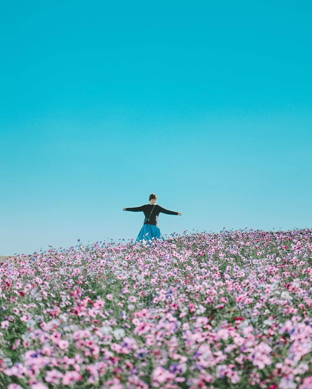 shinichi38さんのインスタグラム写真 - (shinichi38Instagram)「⁡ ⁡ ⁡ Beautiful Day ｡ﾟ:*:✼ ⁡ ⁡ ⁡ Shot on Nikon Z7Ⅱ NIKKOR Z 70-200mm f2.8 VR S ⁡ ⁡ #nikon #z7Ⅱ #NikonZⅡ #nikoncreators  #zcreators」10月31日 21時52分 - shinichillout54