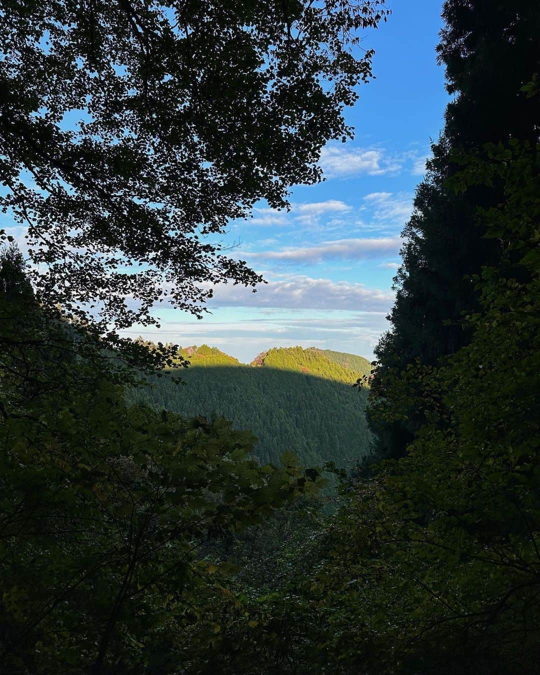 横田ひかるのインスタグラム：「🌾🌕」