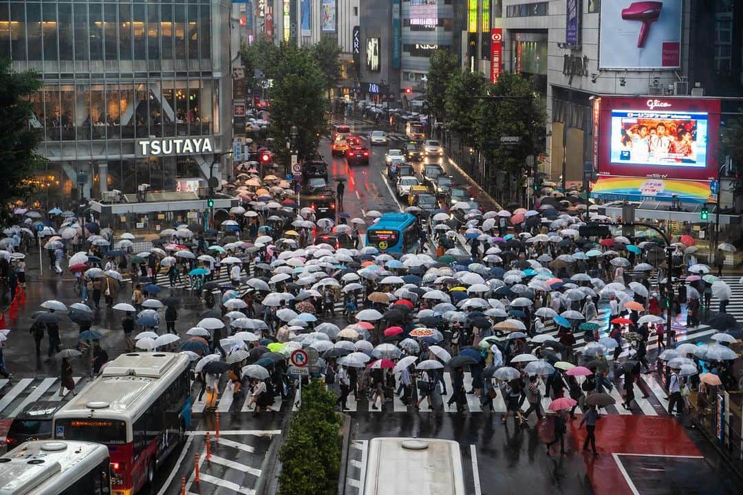 Michael Yamashitaのインスタグラム：「Rain does not dampen the crowds at Shibuya crossing: A sea of umbrellas covers Tokyo's busiest and most famous intersection. Popularly know as the Shibuya Scramble, at peak times, over 3000 pedestrians cross from every direction in organized chaos. Last year’s Halloween saw 560,000 people pass through between October 28th and 30th, making it the world’s biggest Halloween celebration.  #shibuya #shibuyastation #tokyo #japan #shibuyacrossing #shibuyascramble」