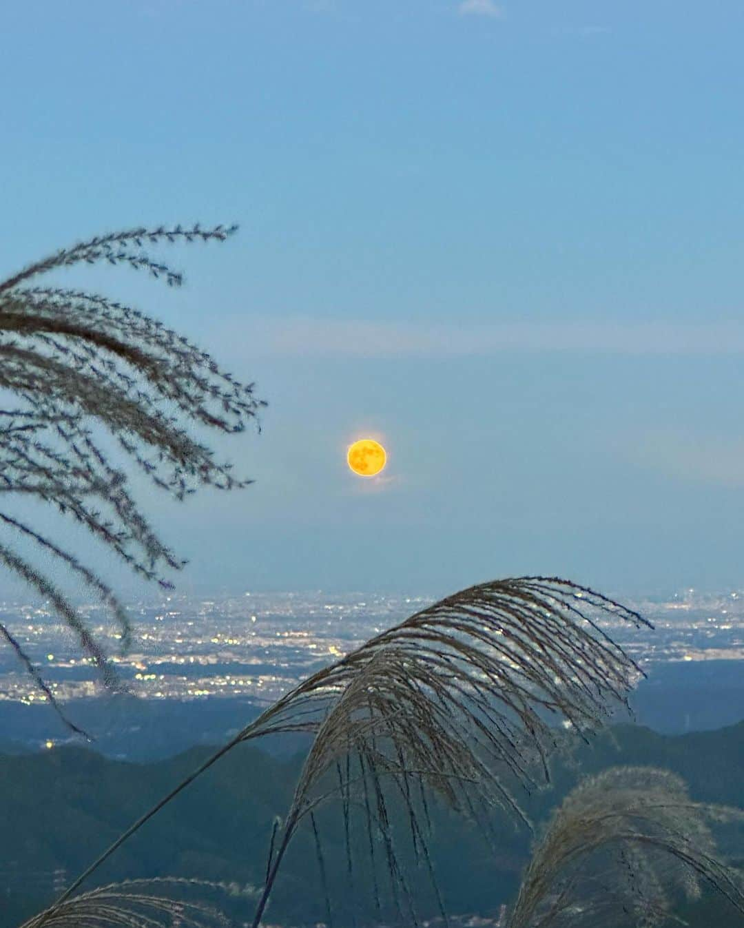 横田ひかるさんのインスタグラム写真 - (横田ひかるInstagram)「🌾🌕」10月31日 22時00分 - _rncn950805