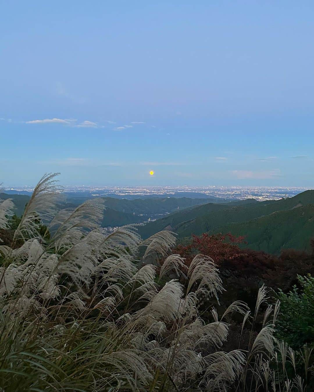 横田ひかるさんのインスタグラム写真 - (横田ひかるInstagram)「🌾🌕」10月31日 22時00分 - _rncn950805