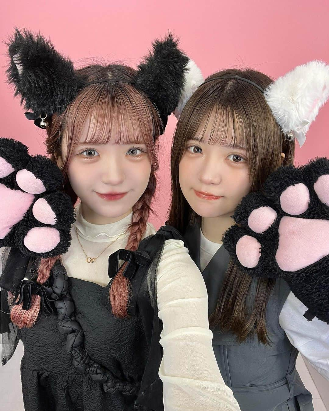 砂糖桃のインスタグラム：「🐈‍⬛🐾🐈」