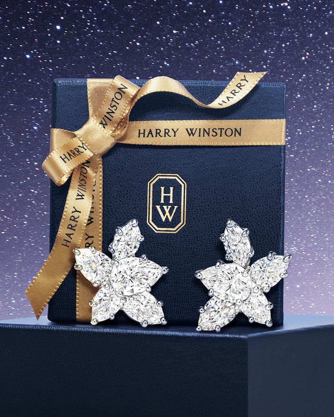 ハリー・ウィンストンのインスタグラム：「Like glistening snow on a holly wreath, these timeless Winston Cluster Diamond Earrings beautifully capture the festive spirit. Transform their Winston Wishes into a reality by tapping the link in bio. #WinstonCluster #WinstonWishes #HarryWinston」