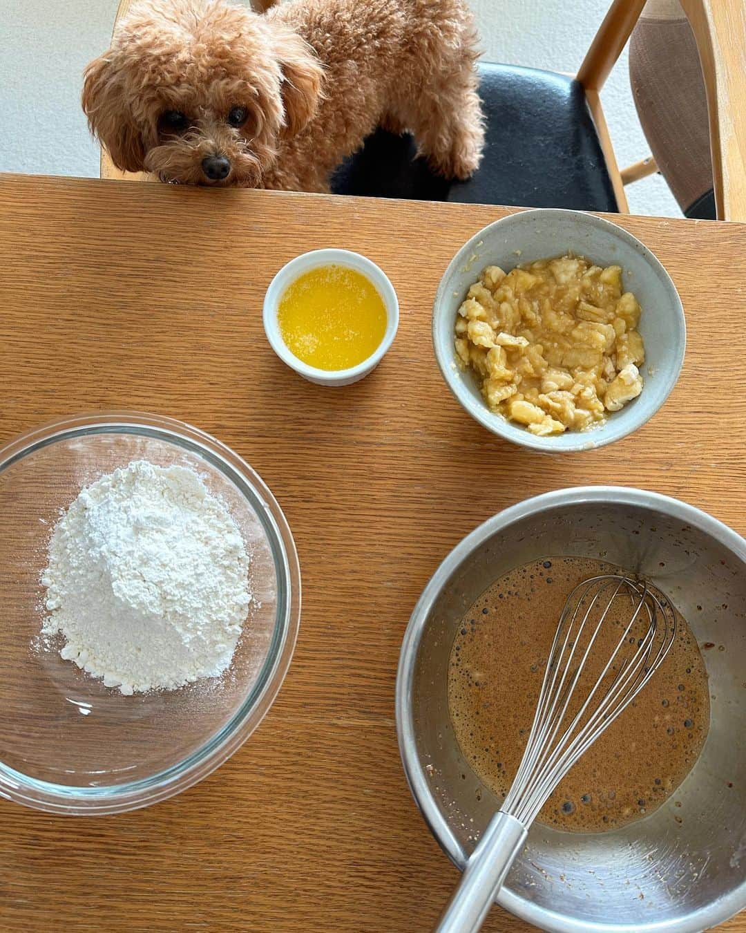 近藤しづかさんのインスタグラム写真 - (近藤しづかInstagram)「朝ごはんや 運動中の補食として 常備しているバナナ🍌🍌🍌  真っ黒になってしまう前に 材料を混ぜるだけの 素朴なバナナケーキを作りました👩‍🌾 (黒糖を使っているのでケーキは茶色)  くまちゃんの 視線を感じます...🐻‍❄️  #ごちそうさまチャレンジで飢餓をなくそう   #ごちそうさまチャレンジ #家庭内食品ロスを減らそう  #バナナケーキ #黒糖  #ヘルシーレシピ #優しいおやつ」10月31日 22時23分 - shizuka_kondo