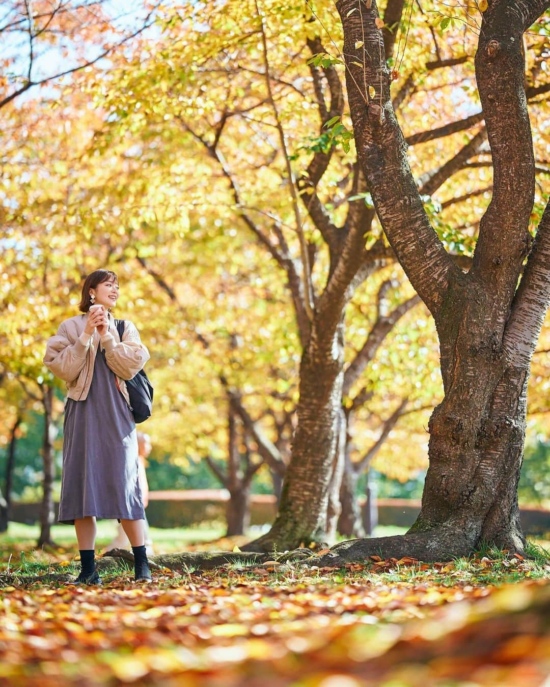 葛巻舞香のインスタグラム：「🍁🍁🍁  足早に 変わる季節に 足留めて  色づく今を 目に焼き付けん   -舞香、こころの短歌-  Photo: @morioka_ps   IBC岩手放送  じゃじゃじゃTV（毎週土曜 あさ9:25〜） 絶賛ロケ中  #紅葉 #秋の風景 #岩手 #岩手公園 #盛岡城跡公園 #まいかのたんか」