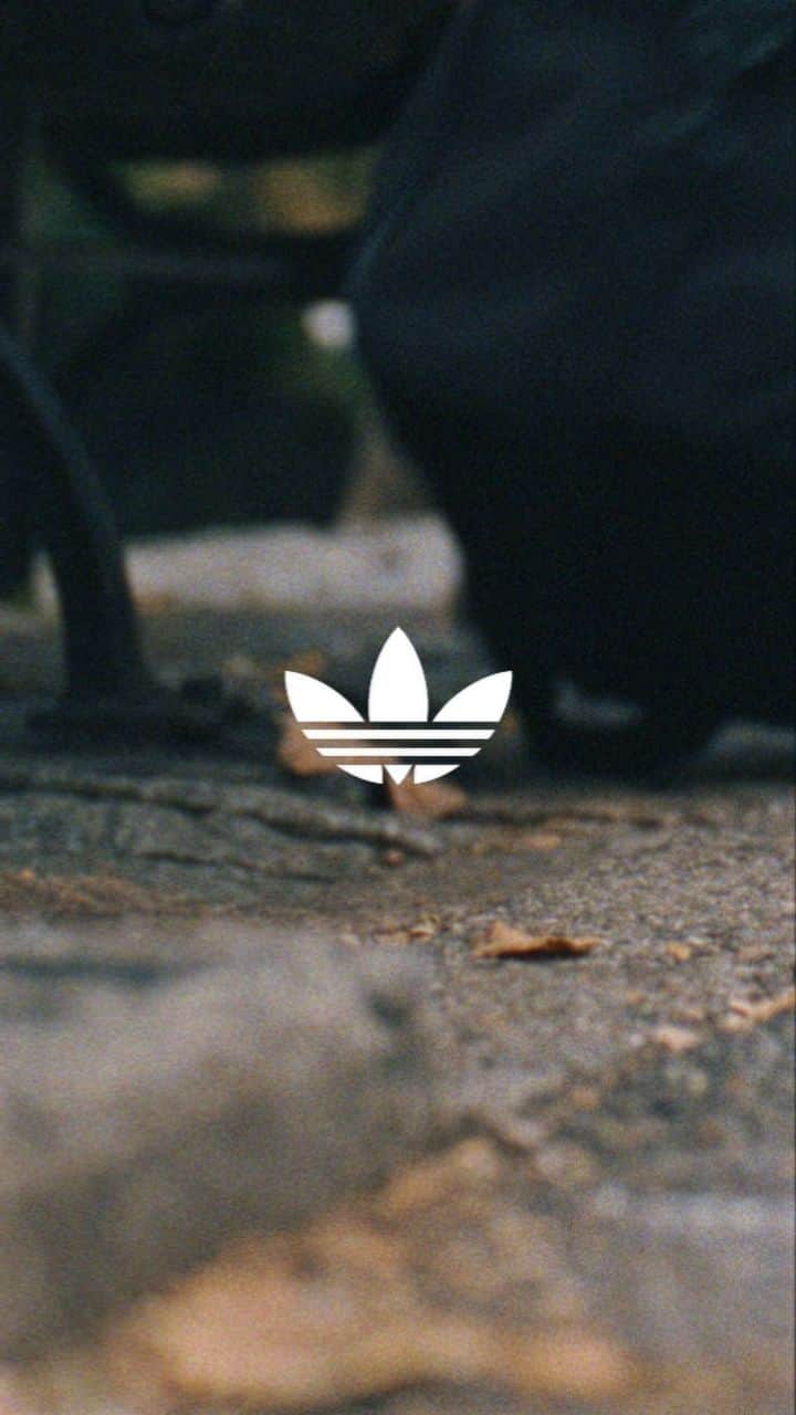 adidas Originalsのインスタグラム：「Both on and off the court, the #adidasRivalry keeps everyone's competitive spirit alive.  #WeGaveTheWorldAnOriginal」