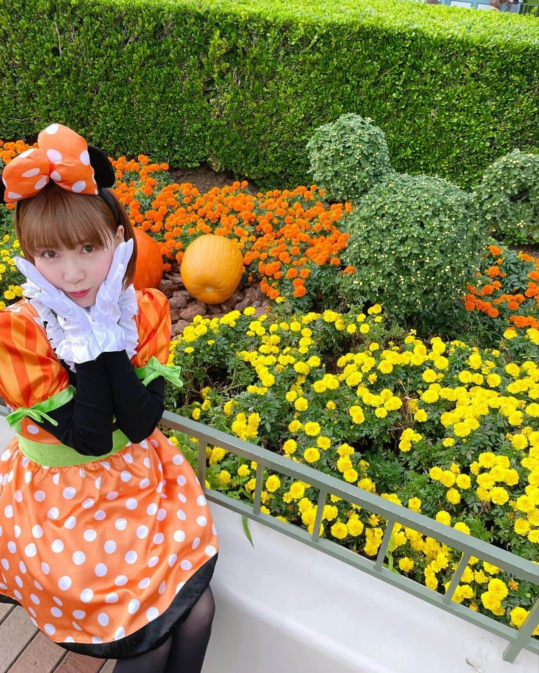 西脇彩華さんのインスタグラム写真 - (西脇彩華Instagram)「＊ Halloweenだね🎃👻💜 今年も無事‼️まどかと2人で ディズニーハロウィーンを満喫できました💕💕  個性豊かなコスチュームの皆さんを拝めて眼福でした❣️ 私たちはミニーちゃんのハロウィーンバージョンがあるならこうだろうな、コスチュームで参戦🩵🩵😆 来年はなににするかなー❣️😆ぐはは  #happy #friend #minnie #minniemouse #twins #disneylandtokyo #disneyhalloween #bestie #ミニー #ミニーマウスコーデ #ディズニーランド #ディズニーハロウィーン #ディズニーハロウィーン2023  #仮装 #東京ディズニーランド #思い出 #パンプキンミニー #Dハロ」10月31日 23時23分 - chapon_930