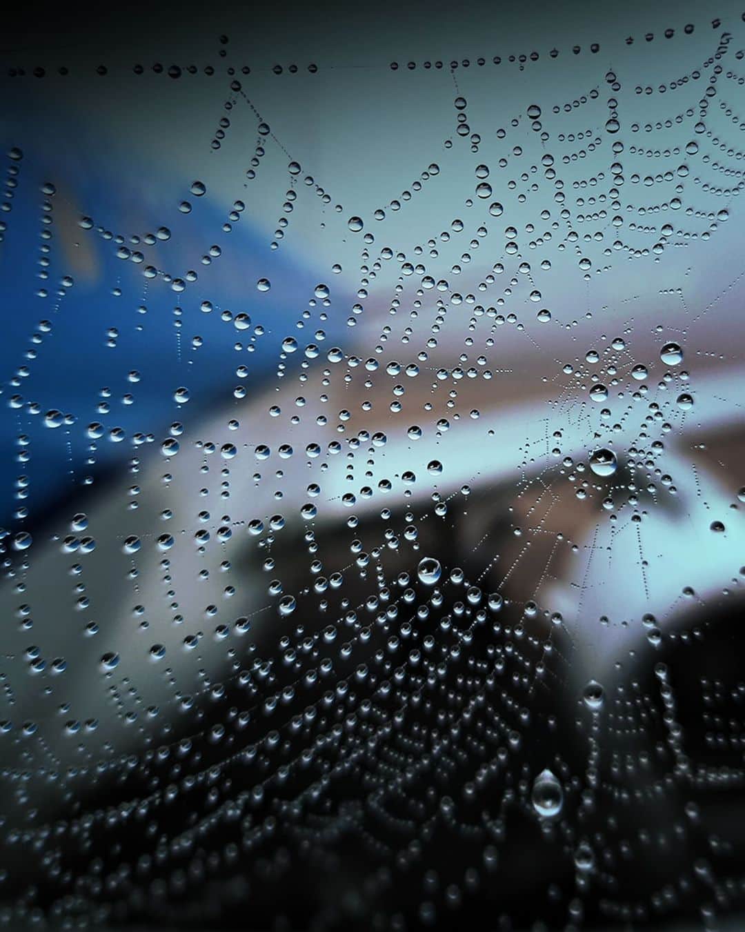 KLMオランダ航空のインスタグラム：「Quite the spooktacular sight this morning! 🕷️🕸️ Our web of destinations awaits. Where will you let your wings take you this scary season? ✈️   #klm #royaldutchairlines #Halloween #spooky」