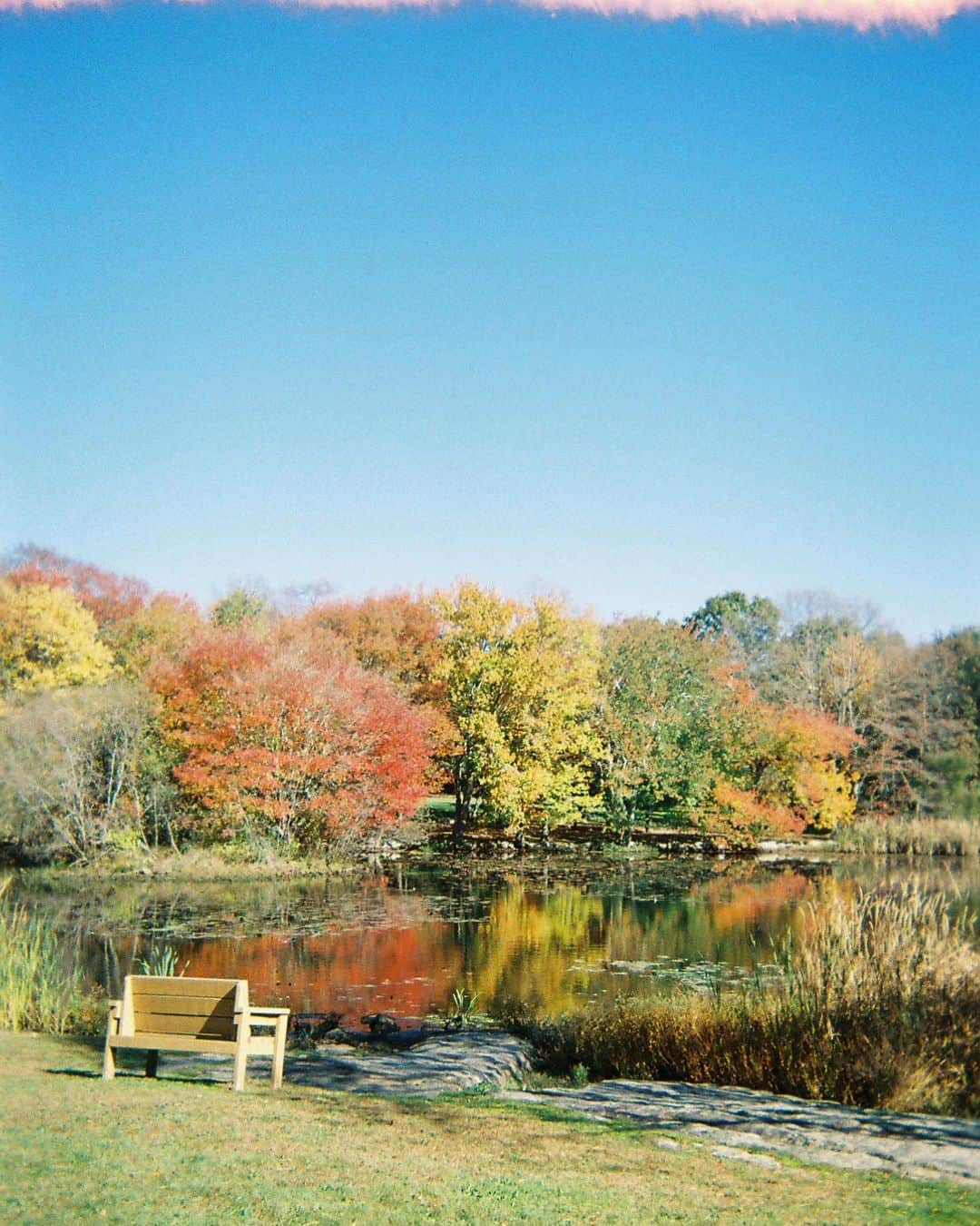 エリザベス・バイゼルさんのインスタグラム写真 - (エリザベス・バイゼルInstagram)「a new england fall on a variety of film」10月31日 23時40分 - ebeisel34