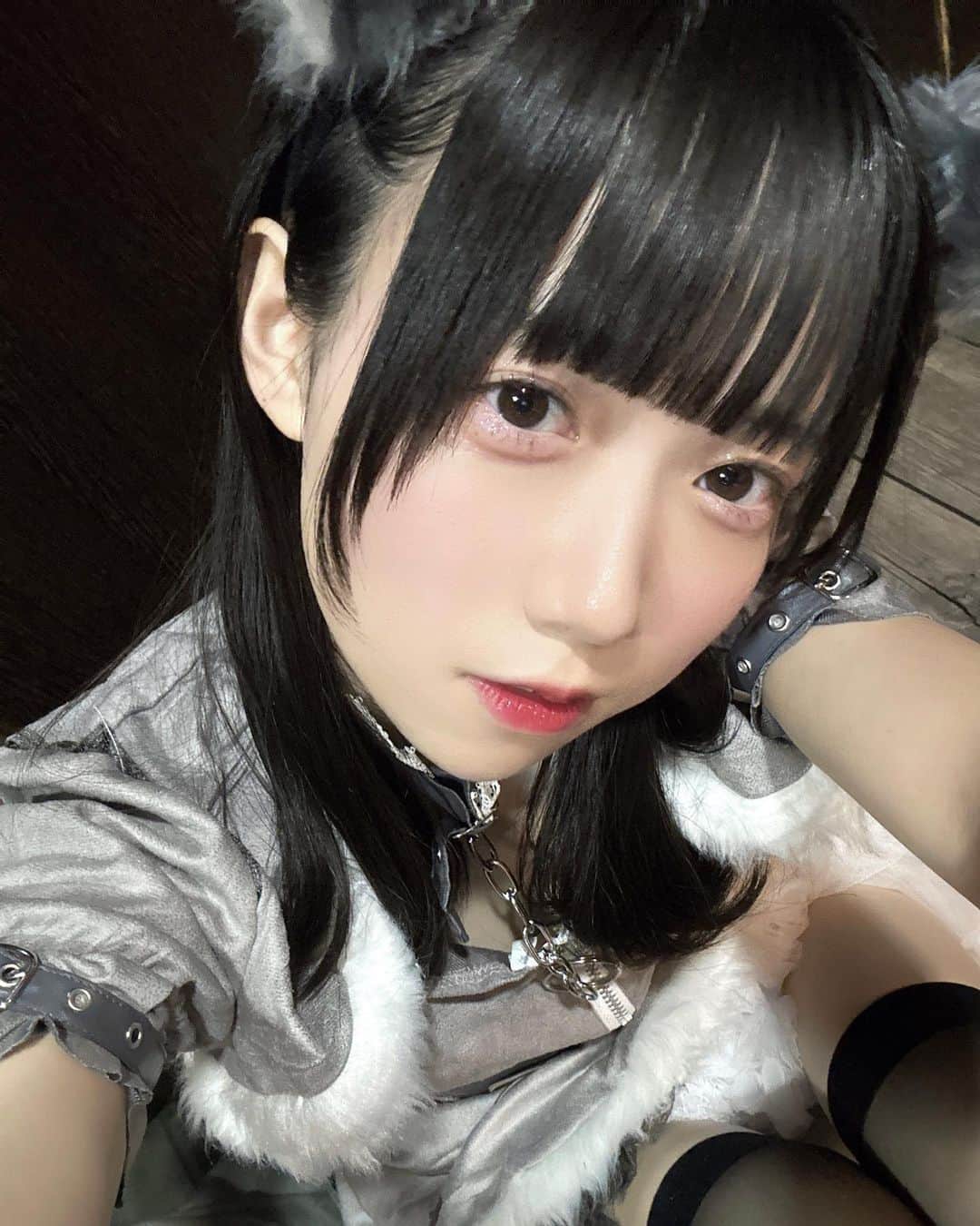 新居歩美さんのインスタグラム写真 - (新居歩美Instagram)「happy Halloween👻 ライブありがとうございました♡  #halloween #はろうぃん #ハロウィンコスプレ #オオカミ #オオカミコスプレ #狼 #ハロウィン仮装　#メイド #メイド服 #メイドコスプレ」10月31日 23時40分 - ayuchi_nii