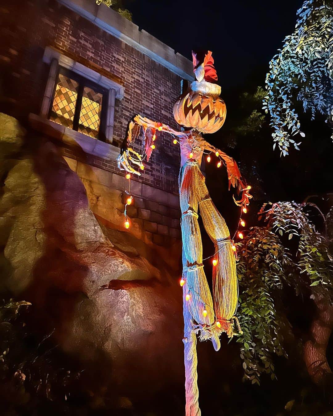 K͎A͎R͎E͎N͎のインスタグラム：「🎃  #tdl #happyhalloween」