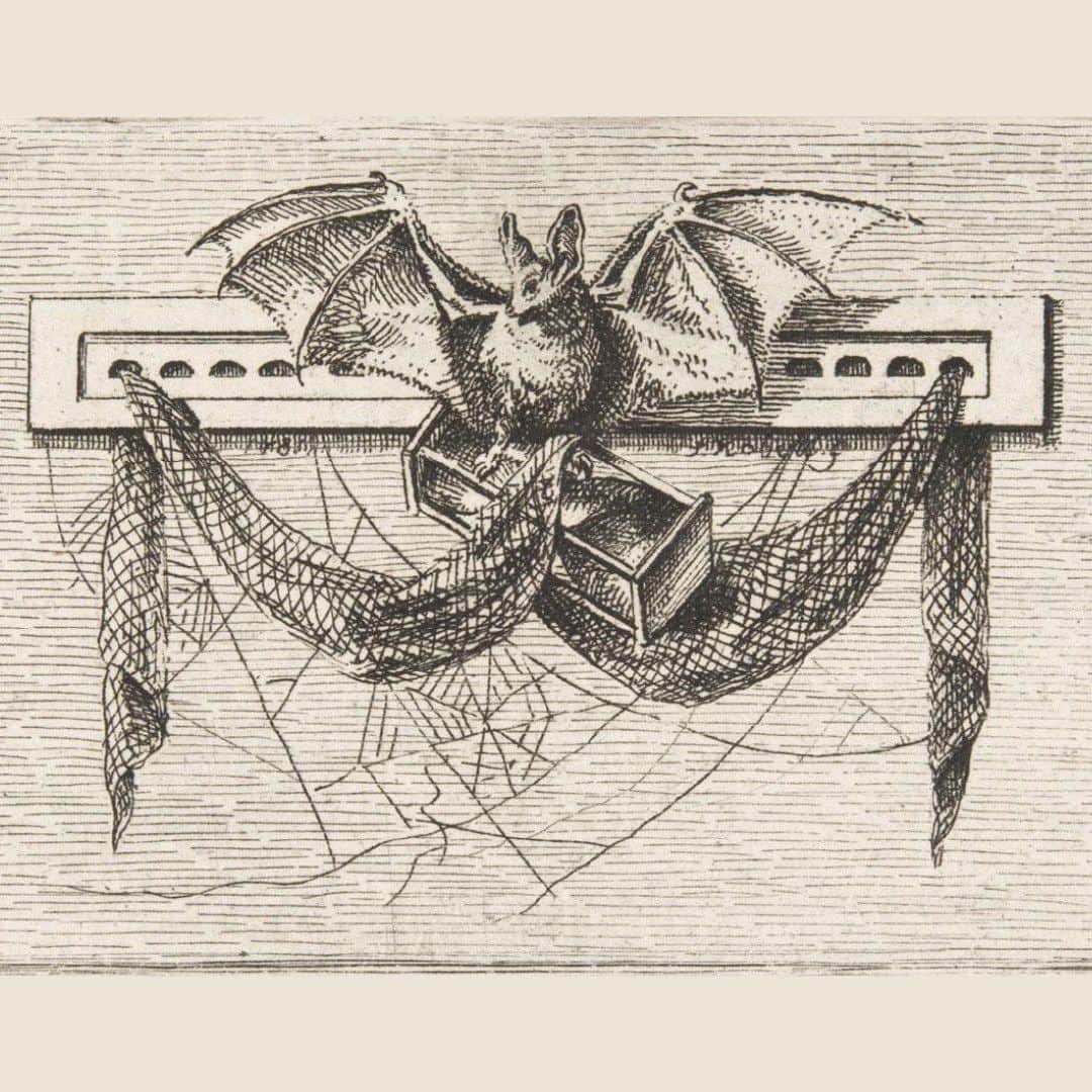 フィラデルフィア美術館さんのインスタグラム写真 - (フィラデルフィア美術館Instagram)「Happy Halloween from our collection of ghoulish delights 🕷️ 🕸️ 🎃 #halloween #TrickOrTreatTime #philamuseum #philly」10月31日 23時59分 - philamuseum