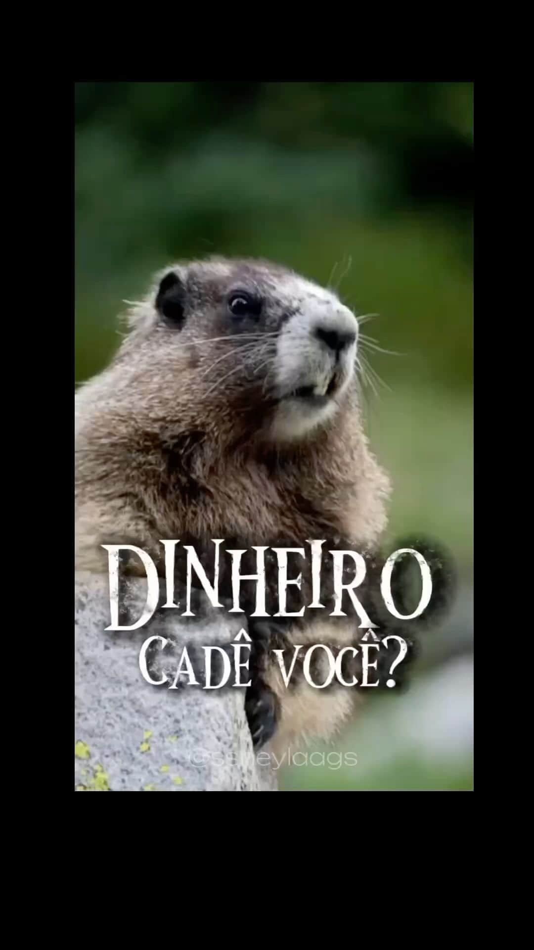 Giovanna Antonelliのインスタグラム：「Olha o fim do mês aí genteeeee!!! 🎵🎵Chora Cavaco ..🤣🤣🤣🤣 kkk.  Amei!!!」
