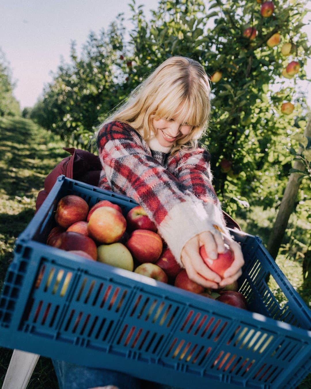 Tommy Hilfigerのインスタグラム：「Apple picking… done the Tommy Hilfiger way. #ApplePicking」