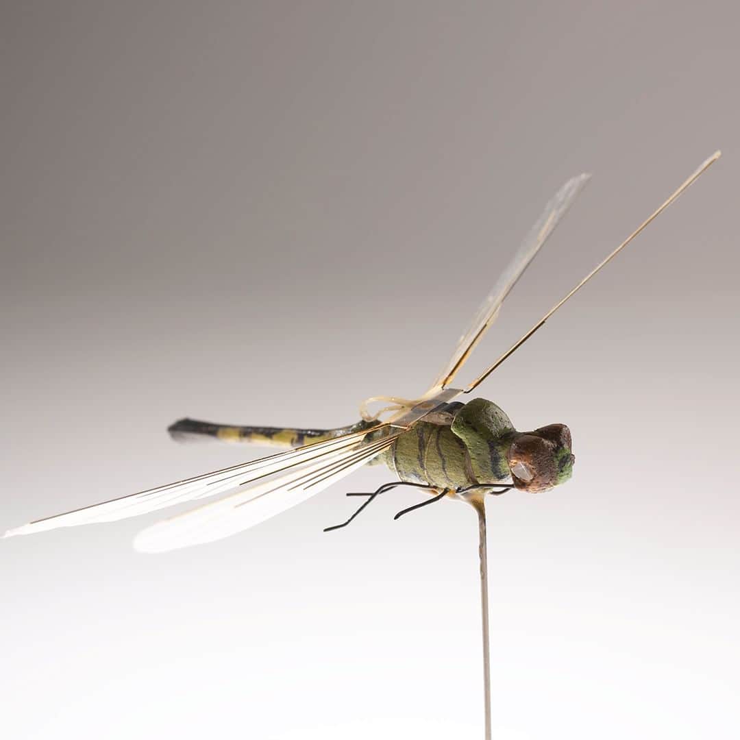 CIAのインスタグラム：「Swipe to learn about #CIA's Artifact of the Week: Insectothopter.  #AOTW #HISTINT」