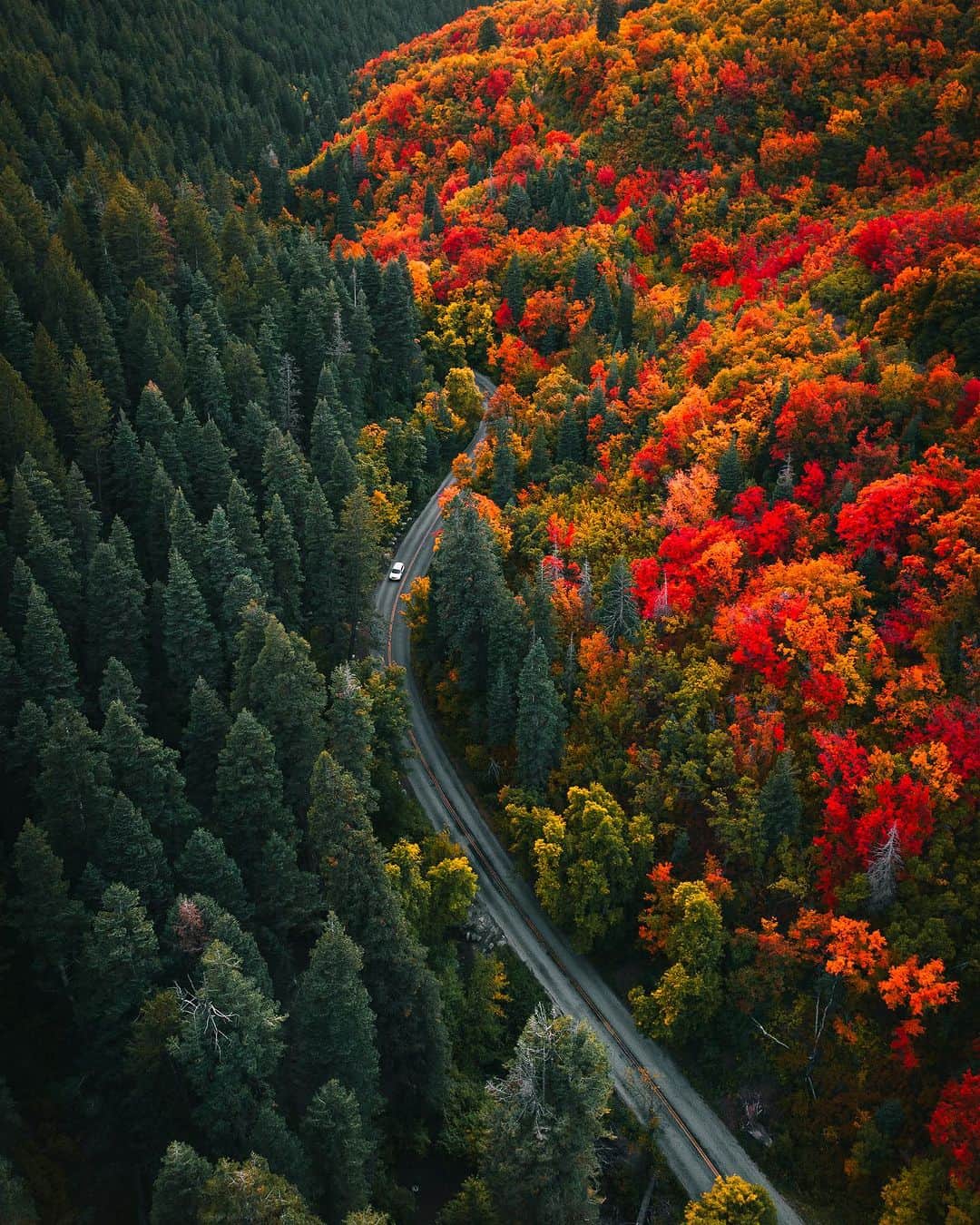 PolarProさんのインスタグラム写真 - (PolarProInstagram)「The seasonal mission to capture Utah’s Autumn landscape called for @eric.kerr to get a bird’s eye view. By equipping his drone with a CP filter, the previously concealed hues and vibrant tones were brought into focus.  📷 @eric.kerr」11月1日 0時59分 - polarpro
