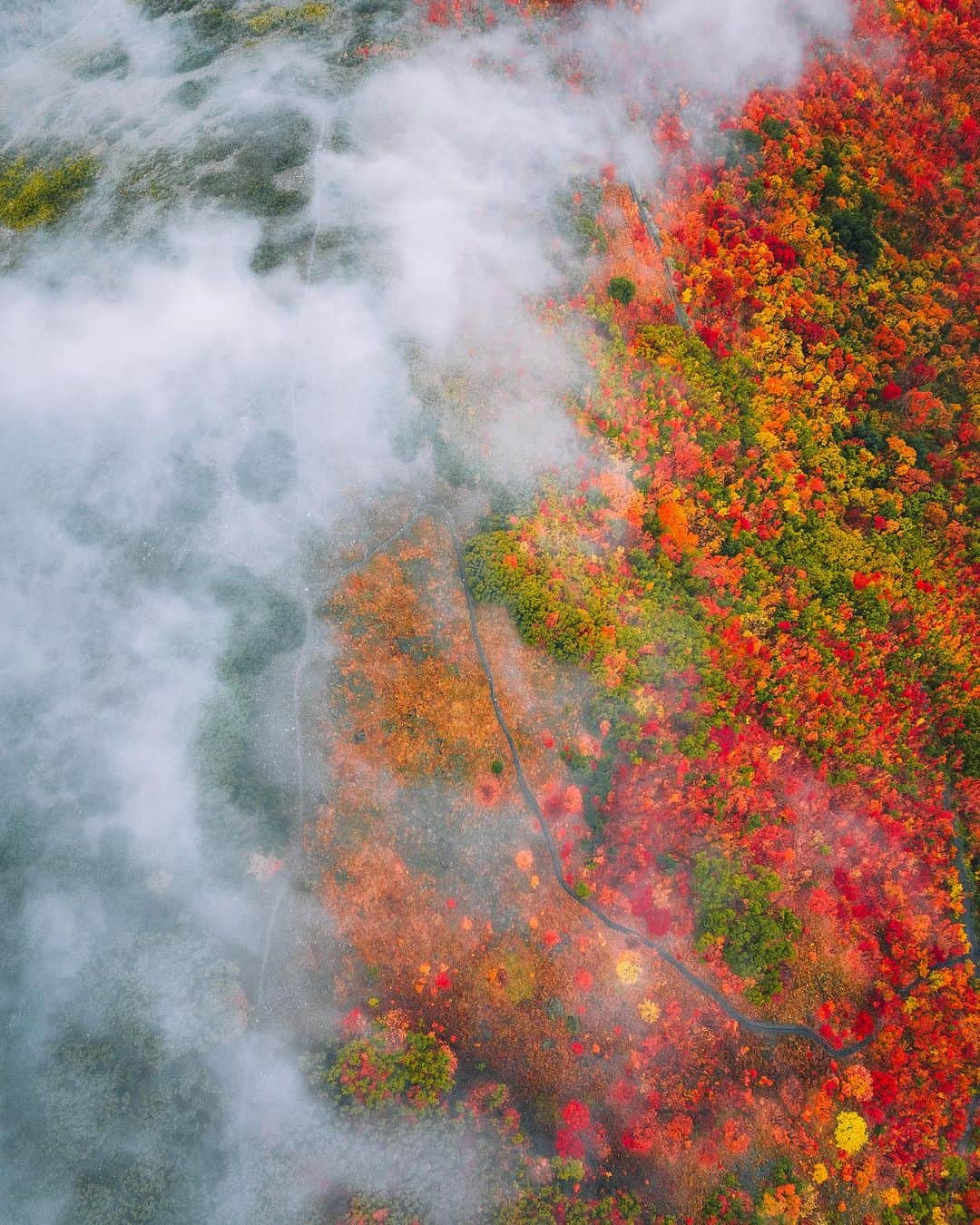 PolarProさんのインスタグラム写真 - (PolarProInstagram)「The seasonal mission to capture Utah’s Autumn landscape called for @eric.kerr to get a bird’s eye view. By equipping his drone with a CP filter, the previously concealed hues and vibrant tones were brought into focus.  📷 @eric.kerr」11月1日 0時59分 - polarpro