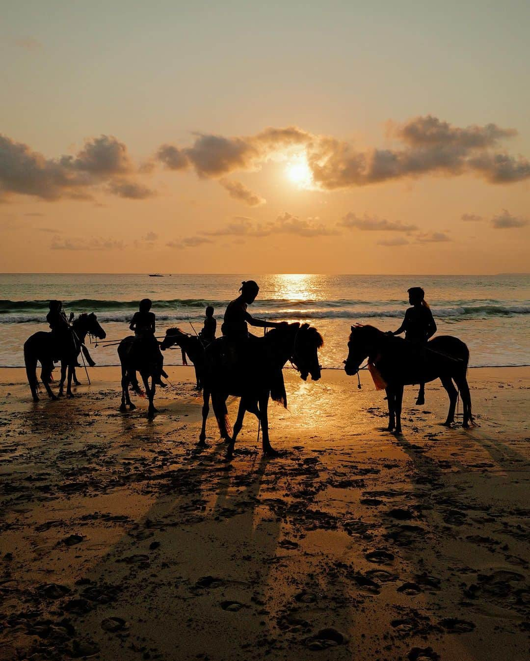 ビクトリアさんのインスタグラム写真 - (ビクトリアInstagram)「We arrive at @nihi after a gorgeous journey through Sumba, and immediately find ourselves drink in hand, sat on the sunset covered beach with a herd of buffalo and young Sumbanese boys racing their ponies down the beach for guests to raise money for the Sumba Foundation and the local children. We sipped on wine until the sun turned to red, all whilst we continuously repeated the phrase ‘I cannot believe we’re here.’ It’s as magical as everyone said; but no words could ever do this place justice. #honeymoon」11月1日 1時01分 - victoria