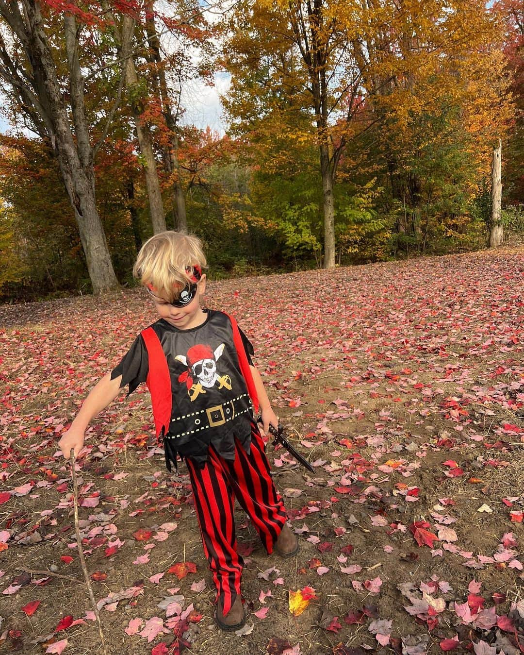 Alex Centomoさんのインスタグラム写真 - (Alex CentomoInstagram)「Arrrrr Happy Halloween 🏴‍☠️⚔️💰 Ark wanted to be a pirate for a long time (before changing his mind every other day lol). Hope everyone has a good day today!」11月1日 1時05分 - alexcentomo