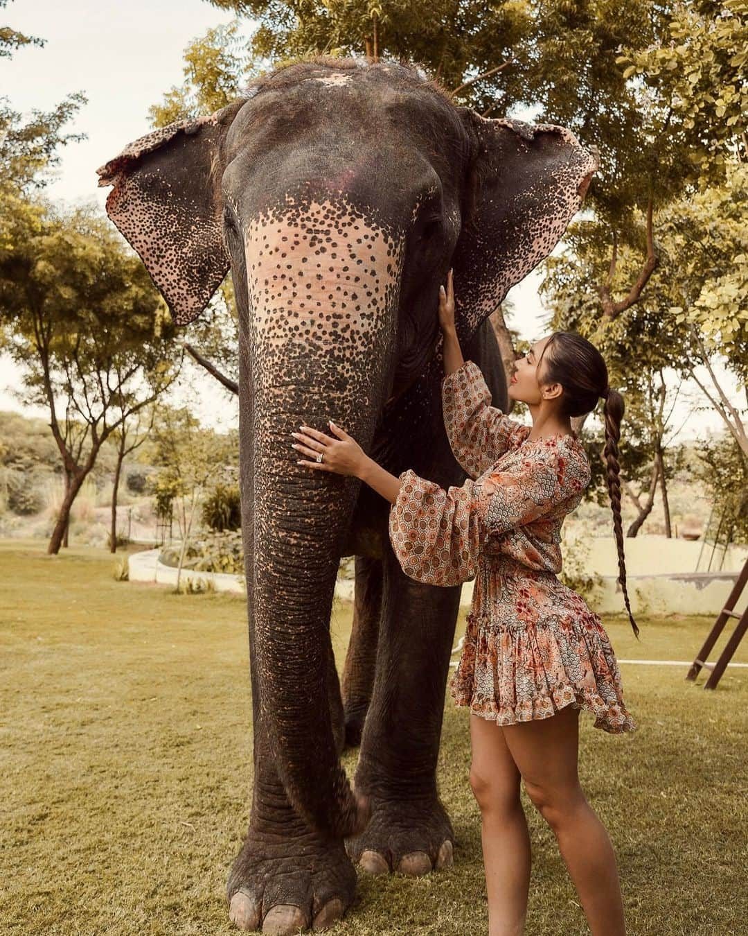 Aylen Aさんのインスタグラム写真 - (Aylen AInstagram)「Bonding with majestic gentle giants at Jaipur's elephant sanctuary.🐘 @elefantastic.in」11月1日 2時06分 - aylen25