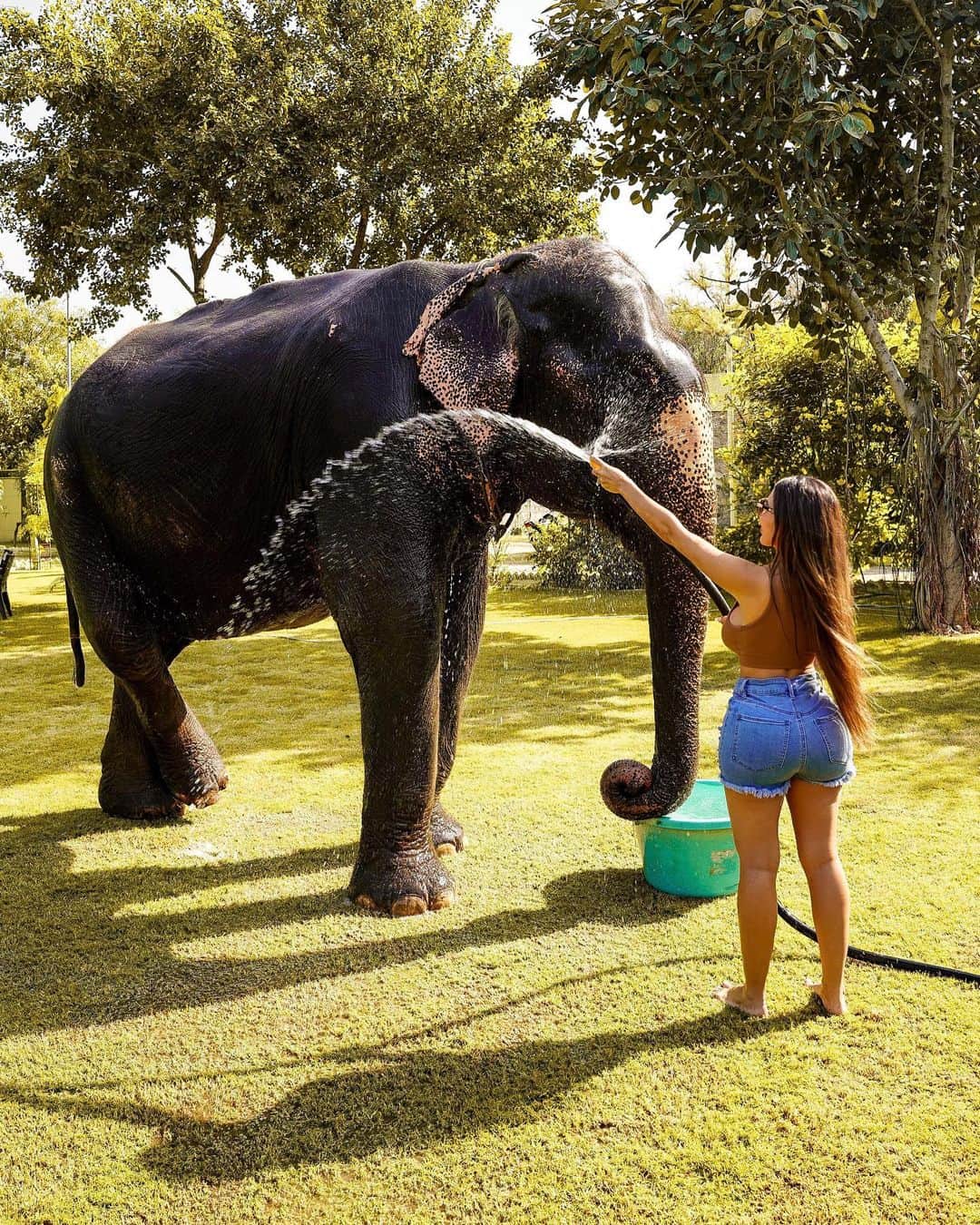 Aylen Aさんのインスタグラム写真 - (Aylen AInstagram)「Bonding with majestic gentle giants at Jaipur's elephant sanctuary.🐘 @elefantastic.in」11月1日 2時06分 - aylen25