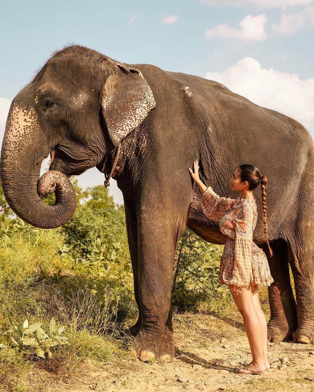 Aylen Aのインスタグラム：「Bonding with majestic gentle giants at Jaipur's elephant sanctuary.🐘 @elefantastic.in」