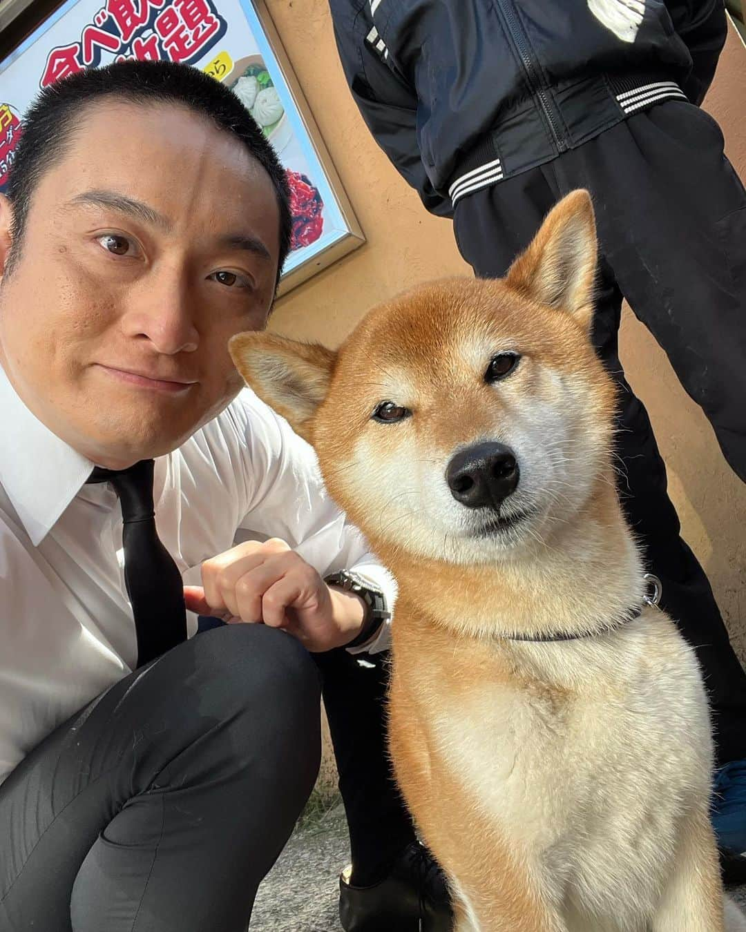 JP（ものまねタレント）さんのインスタグラム写真 - (JP（ものまねタレント）Instagram)「撮影の最中にいたイッヌ🐕  仕事のご依頼はインスタのDMでお問合せください。  Twitterアカウント→　#jpmaesaka Twitterアカウントポケモン→#jp_pkmn YouTubeチャンネル→#モノマネモンスターJP TikTok→#monomamejp #🐕 #🍗 #イッヌ #トクメイ  #ものまね代行世代 #ワイドナショー #JPさん #松本人志 #浜田雅功 #ダウンタウン #ものまね芸人 #松本人志ものまね #研音 #川島明ものまね #ラヴィット #滋賀芸人 #農業高校出身 #すべらない話 #IPPONグランプリ #ダウンタウンDX #どどどどっとJP #おはスタポケモン部 #ポケモン #しゃべくり007」11月1日 2時26分 - metamonjp