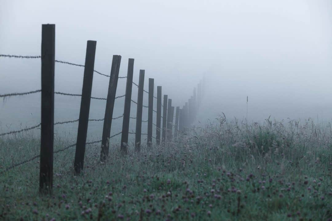 National Geographic Travelさんのインスタグラム写真 - (National Geographic TravelInstagram)「Photos by @juancristobalcobo | Getting up early in the morning is always an opportunity to enjoy the countryside near Bogotá, Colombia. In this case, the mist produced by the low temperatures at night gives way to the warm morning sun, creating a painterly mood for my photographs.   Follow me @juancristobalcobo for more photos of Colombia and elsewhere.」11月1日 2時30分 - natgeotravel