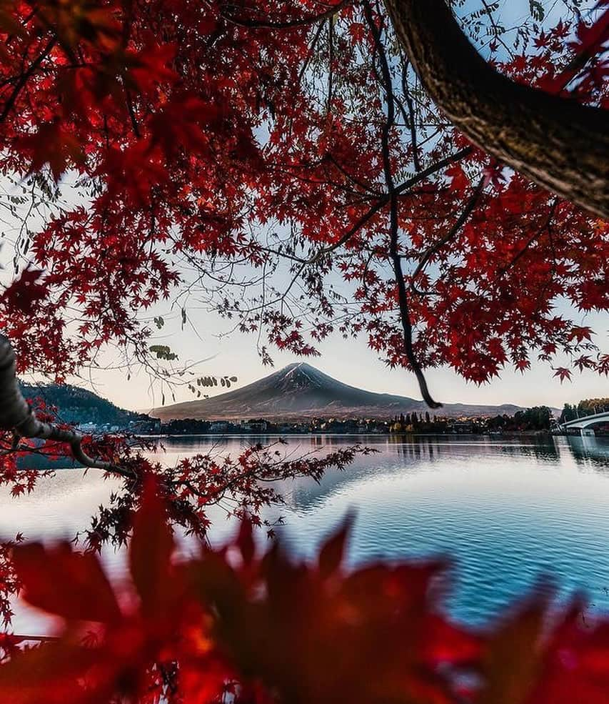 Awesome Wonderful Natureさんのインスタグラム写真 - (Awesome Wonderful NatureInstagram)「The different shades of Autumn in Japan, a spectacular sight to behold!🍁🍂  💡Autumn in Japan is a seasonal spectacle that brings forth vivid colors and stunning landscapes. With the changing colors of leaves, the air is engulfed in an eerie feeling that is unmatched. It’s a time of the year that brings forth an array of cultural events, traditions, and festivals that showcase the beauty of Japan. It’s a time of the year that brings forth a sense of reverence and awe towards nature. The beauty of autumn in Japan is truly a sight to behold.  👉Share this with someone you want to visit Japan in Autumn with!🧡  📸  1. @shimiti_japan  2. @kenken710  3. @1min.traveller  4. @yako_flpr3  5. @bukann_bagas  6. @oemarpatex  7. @kz_pht  8. @88mercury  9. @etsuyo623  10. @wanderfulanya  📍Japan  Tag #fantastic_earth for feature💫 . #nature #place #natgeo #discover #explore #landscape #instagram #colorful #japan #autumn #world #amazing #earth #instagood  #sunset #wonderful #photography #travels #beauty #vacations #travel #geography #artofvisuals #vacation #tlpicks #wanderlust」11月1日 2時46分 - fantastic_earth