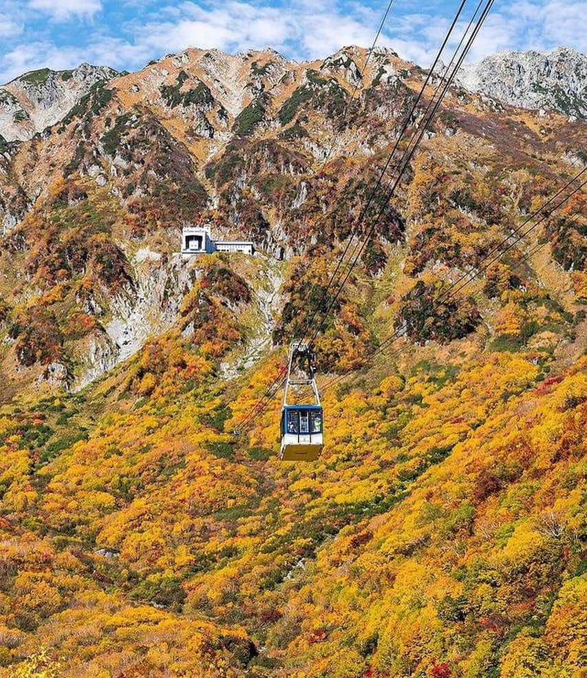 Awesome Wonderful Natureさんのインスタグラム写真 - (Awesome Wonderful NatureInstagram)「The different shades of Autumn in Japan, a spectacular sight to behold!🍁🍂  💡Autumn in Japan is a seasonal spectacle that brings forth vivid colors and stunning landscapes. With the changing colors of leaves, the air is engulfed in an eerie feeling that is unmatched. It’s a time of the year that brings forth an array of cultural events, traditions, and festivals that showcase the beauty of Japan. It’s a time of the year that brings forth a sense of reverence and awe towards nature. The beauty of autumn in Japan is truly a sight to behold.  👉Share this with someone you want to visit Japan in Autumn with!🧡  📸  1. @shimiti_japan  2. @kenken710  3. @1min.traveller  4. @yako_flpr3  5. @bukann_bagas  6. @oemarpatex  7. @kz_pht  8. @88mercury  9. @etsuyo623  10. @wanderfulanya  📍Japan  Tag #fantastic_earth for feature💫 . #nature #place #natgeo #discover #explore #landscape #instagram #colorful #japan #autumn #world #amazing #earth #instagood  #sunset #wonderful #photography #travels #beauty #vacations #travel #geography #artofvisuals #vacation #tlpicks #wanderlust」11月1日 2時46分 - fantastic_earth