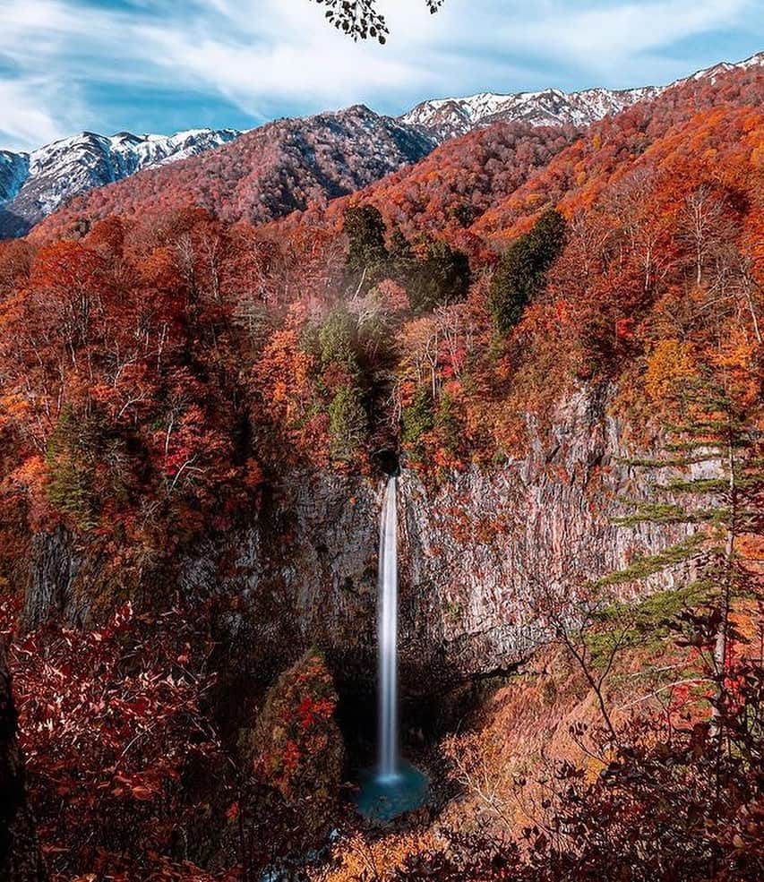 Awesome Wonderful Natureさんのインスタグラム写真 - (Awesome Wonderful NatureInstagram)「The different shades of Autumn in Japan, a spectacular sight to behold!🍁🍂  💡Autumn in Japan is a seasonal spectacle that brings forth vivid colors and stunning landscapes. With the changing colors of leaves, the air is engulfed in an eerie feeling that is unmatched. It’s a time of the year that brings forth an array of cultural events, traditions, and festivals that showcase the beauty of Japan. It’s a time of the year that brings forth a sense of reverence and awe towards nature. The beauty of autumn in Japan is truly a sight to behold.  👉Share this with someone you want to visit Japan in Autumn with!🧡  📸  1. @shimiti_japan  2. @kenken710  3. @1min.traveller  4. @yako_flpr3  5. @bukann_bagas  6. @oemarpatex  7. @kz_pht  8. @88mercury  9. @etsuyo623  10. @wanderfulanya  📍Japan  Tag #fantastic_earth for feature💫 . #nature #place #natgeo #discover #explore #landscape #instagram #colorful #japan #autumn #world #amazing #earth #instagood  #sunset #wonderful #photography #travels #beauty #vacations #travel #geography #artofvisuals #vacation #tlpicks #wanderlust」11月1日 2時46分 - fantastic_earth