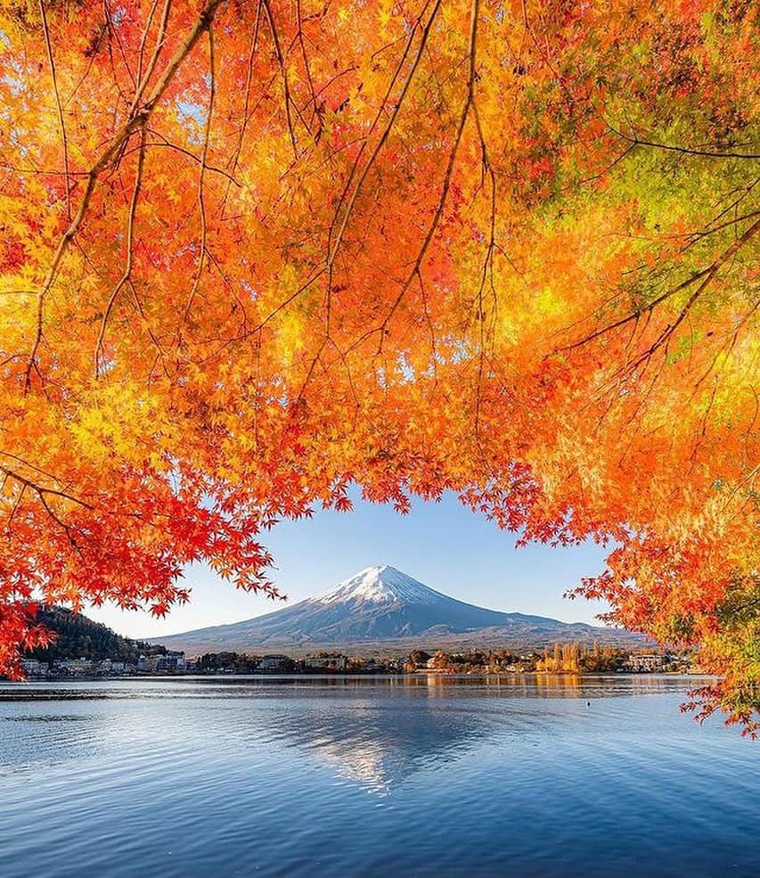 Awesome Wonderful Natureのインスタグラム：「The different shades of Autumn in Japan, a spectacular sight to behold!🍁🍂  💡Autumn in Japan is a seasonal spectacle that brings forth vivid colors and stunning landscapes. With the changing colors of leaves, the air is engulfed in an eerie feeling that is unmatched. It’s a time of the year that brings forth an array of cultural events, traditions, and festivals that showcase the beauty of Japan. It’s a time of the year that brings forth a sense of reverence and awe towards nature. The beauty of autumn in Japan is truly a sight to behold.  👉Share this with someone you want to visit Japan in Autumn with!🧡  📸  1. @shimiti_japan  2. @kenken710  3. @1min.traveller  4. @yako_flpr3  5. @bukann_bagas  6. @oemarpatex  7. @kz_pht  8. @88mercury  9. @etsuyo623  10. @wanderfulanya  📍Japan  Tag #fantastic_earth for feature💫 . #nature #place #natgeo #discover #explore #landscape #instagram #colorful #japan #autumn #world #amazing #earth #instagood  #sunset #wonderful #photography #travels #beauty #vacations #travel #geography #artofvisuals #vacation #tlpicks #wanderlust」