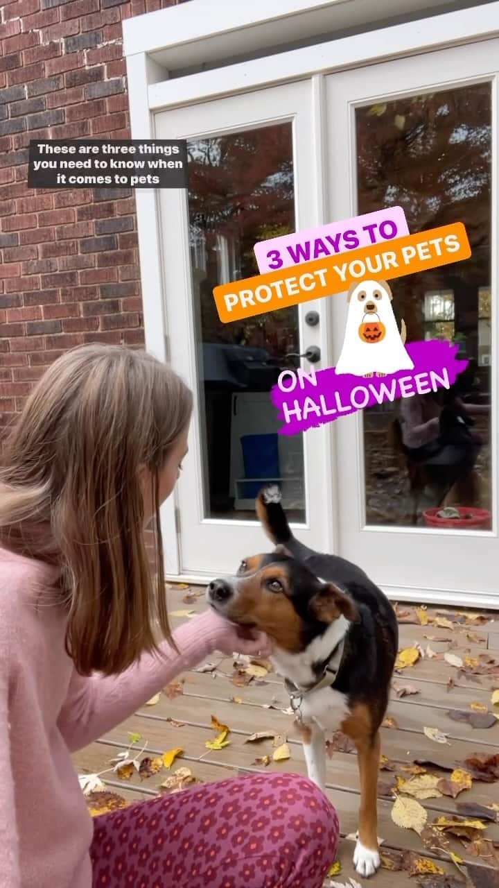 ネーブ・キャンベルのインスタグラム：「Keep a close eye on your pets this Halloween. 👁️ Beware of these three things that can be dangerous if your cat or dog gets a hold of them.  #PetSafety #SafetyTips #HalloweenSafety #TrickOrTreat #RedCross」