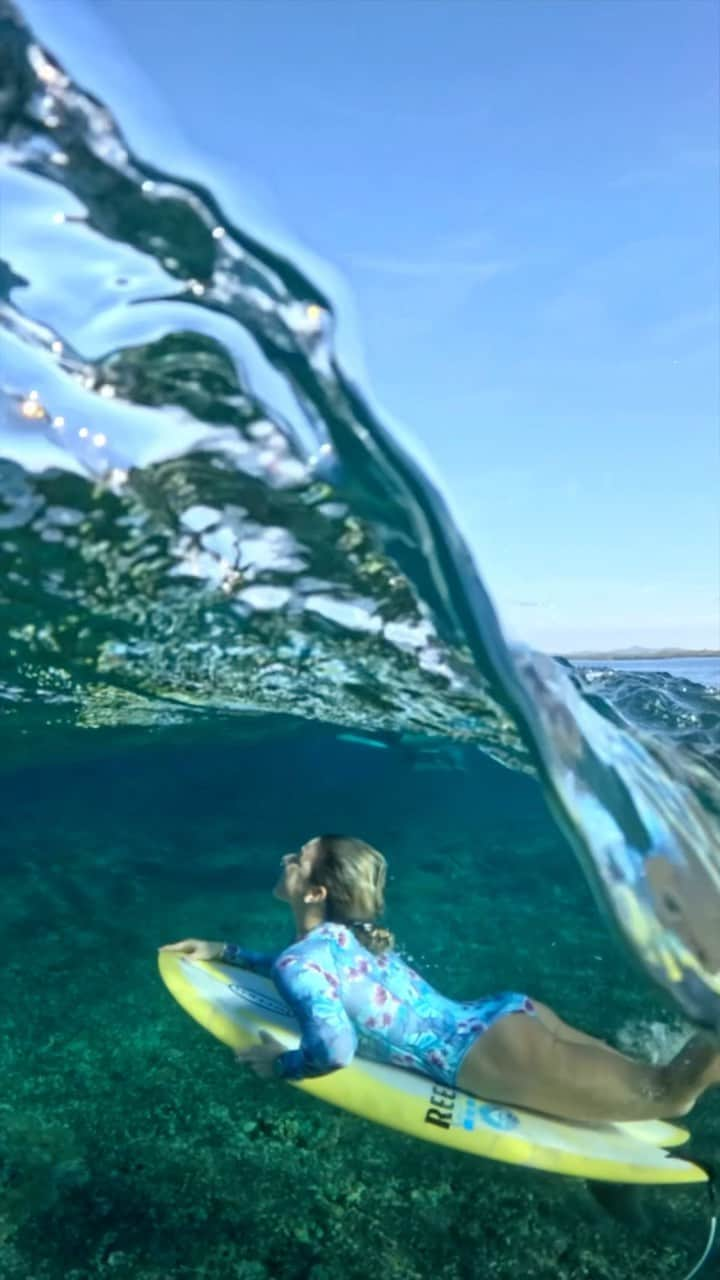 ココ・ホウのインスタグラム：「Where Happiness Comes Naturally 🩵🐠 @gopro @tourismfiji #hero12 #goprocreatorsummit」