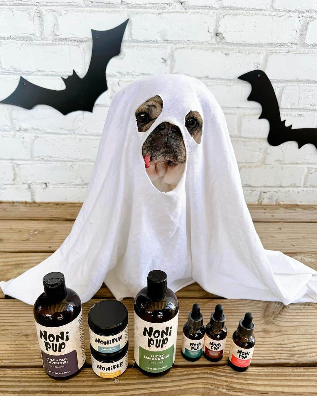 itsdougthepugのインスタグラム：「Beware of the scary ingredients lurking in other pet products, but fear not, Doug The Pug is here with his enchanting new holistic dog company @nonipup!  He's brewed up a cauldron of all-natural, organic goodies that'll cast a spell on your furry friends, leaving them smelling like a treat. Every @nonipup ingredient is ethically sourced, cruelty-free, and as paraben-free as a ghost's closet. These elixirs are so potent, they're human-grade! From bewitching shampoos to crusty nose remedies and hot spot healing balms, they work like magic spells. But don't take Doug’s word for it; let the howls of his delighted customers convince you.  Hop on your broomstick and soar over to www.nonipup.com to snatch up one of Doug's enchanting potions today!  P.S. Brew-tiful surprises are brewing for you in just a few weeks! What could they be? Get ready for a spooktacular reveal! 🧙🦇🎃」