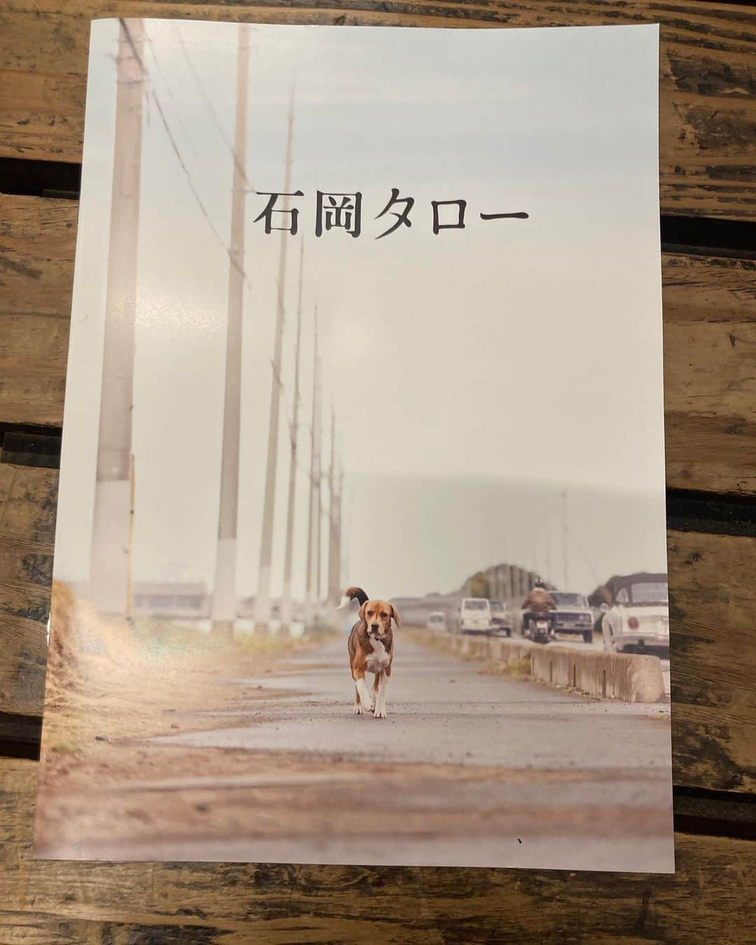 柳下毅一郎さんのインスタグラム写真 - (柳下毅一郎Instagram)「石岡タロー」11月1日 15時24分 - garth_y