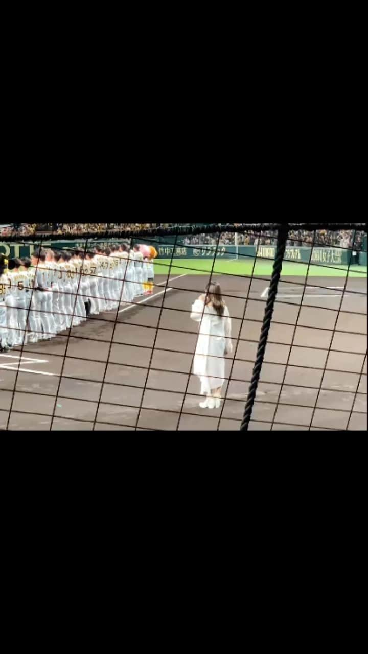 山本彩のインスタグラム：「昨日、球場に観に来ていた父が撮ってくれた国歌独唱の動画。  本当に夢のような光景と感覚でした。  人生最大の緊張感に潰されそうになりましたが 日本シリーズ、更に甲子園という素晴らしい舞台で 国歌を歌わせて頂けた事は、一生の宝であり誇りです。  #日本シリーズ #阪神タイガース #hanshintigers #甲子園 #アレ」