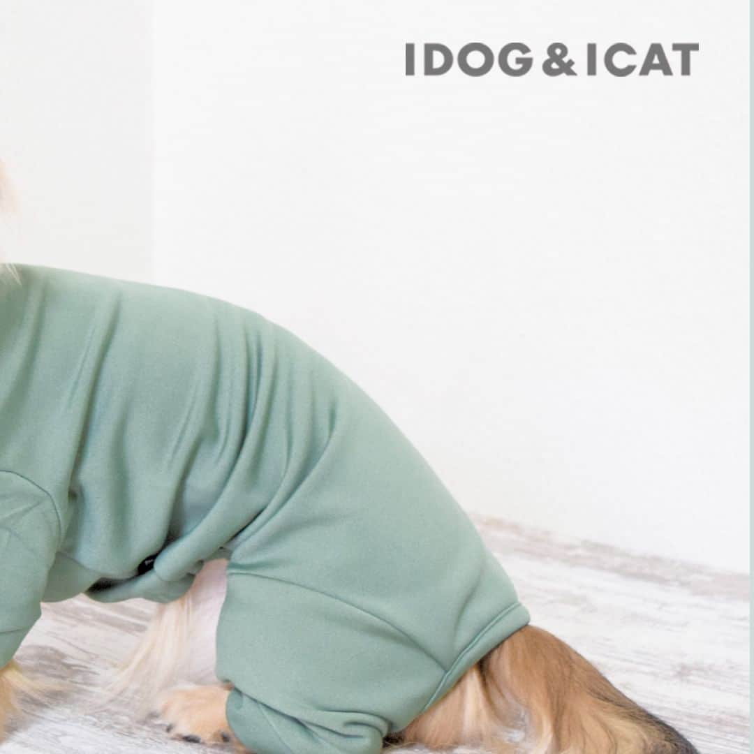 iDog&iCatのインスタグラム：「新作ロスレスウェア販売開始！  #idogロスレスウェア  iDogのアウトレットがロスレスウェアに！ iDogのロスレスウェアは「サスティナブル」で「プチプラ」が嬉しい。  自社工場や提携工場で発生する余った生地は通常廃棄されます。 その廃棄されるはずの生地を小さなペットウェアのパーツなどに活かして、ロス(廃棄)を0に近づけるiDog独自の生産方式です。 ロスを少なくする仕組みと簡易的な梱包で、お得な価格を実現しています。  iDogの「愛犬ファーストなものづくり」と素材へのこだわりはそのままに、環境とお財布に優しいシリーズのご提案です。  廃棄を減らすために、同品番でも違和感のない程度に素材や色が異なったり混ざったりしています。ご理解の上ご購入ください。  店舗URL：https://www.idog.jp/c/idog-dog-clothes/idog-dog-clothes-outlet  #iDog #iDogiCat #iCat #idogロスレスウェア #ペット服 #ドッグウェア #新作 #プチプラ #犬服 #犬の服 #犬の服iDog #犬 #超小型犬 #小型犬 #中型犬 #うちの子優勝 #サステナブル #猫服 #猫の服 #猫の服iCat #猫」