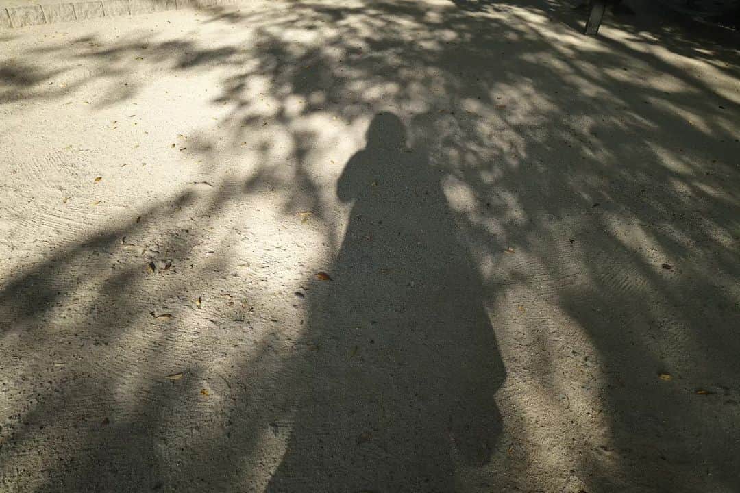 伊藤修子のインスタグラム：「体調の様子を見るため数日家から出れませんでしたが今日やっと外に出ました。 雑な食事でも我慢できるようになってしまい突然によいものが食べれないかもしれません。」