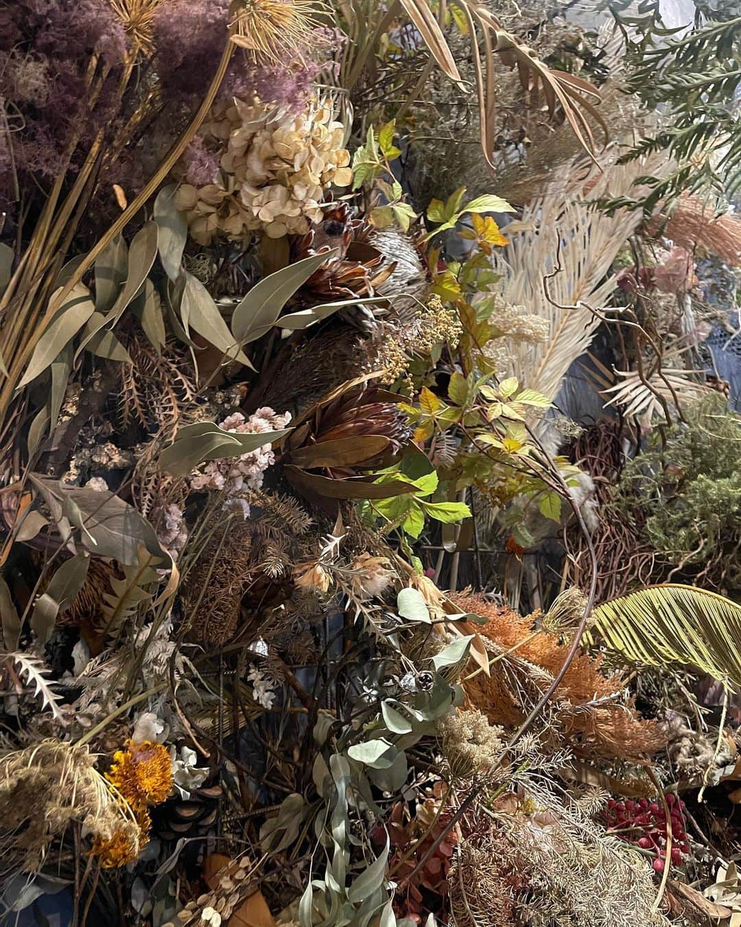 ゆらのグルメインスタ