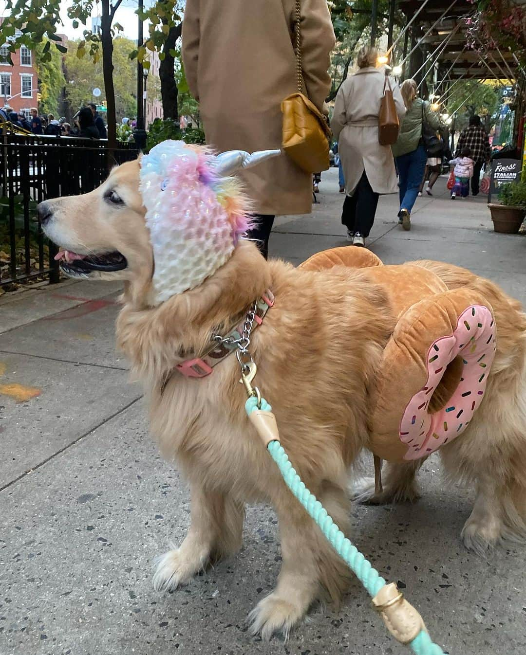 ショーン・オプリーさんのインスタグラム写真 - (ショーン・オプリーInstagram)「Unicorn Donut 🍩 won. Happy Halloween」11月1日 6時53分 - seanopry55