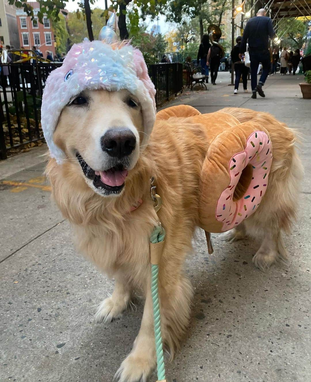 ショーン・オプリーのインスタグラム：「Unicorn Donut 🍩 won. Happy Halloween」