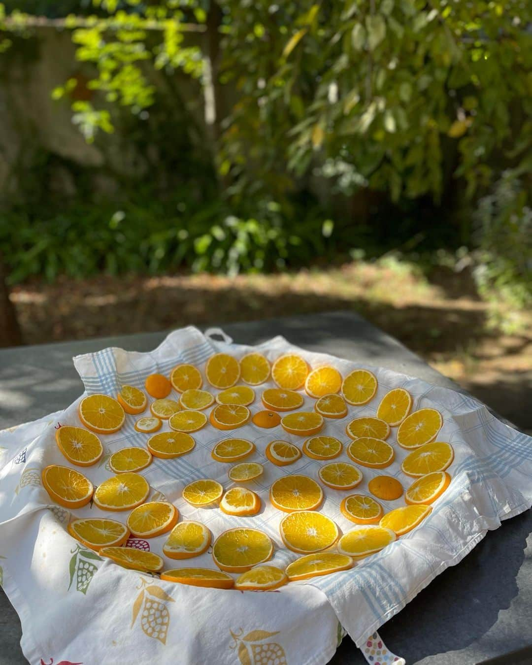 結城アンナのインスタグラム：「🍊クリスマス🎄オーナメントなどに使うドライオレンジ制作🍊皮の薄めの🍊物を選んで、スライスして、紙、布などに並べて、カビが入っら無いように風通しの良い、乾いた場所に置きます😊硬い、ドライオレンジになるまでは2〜3週間かかります🌟Drying orange slices for x'mas decorations🎄  🕊️Peace & Kindness, may all your dreams come true🕊️  #xmas #xmasdecor #クリスマス #クリスマスオーナメント #オレンジ #ドライフルーツ #クリスマスデコレーション #日々の暮らし」