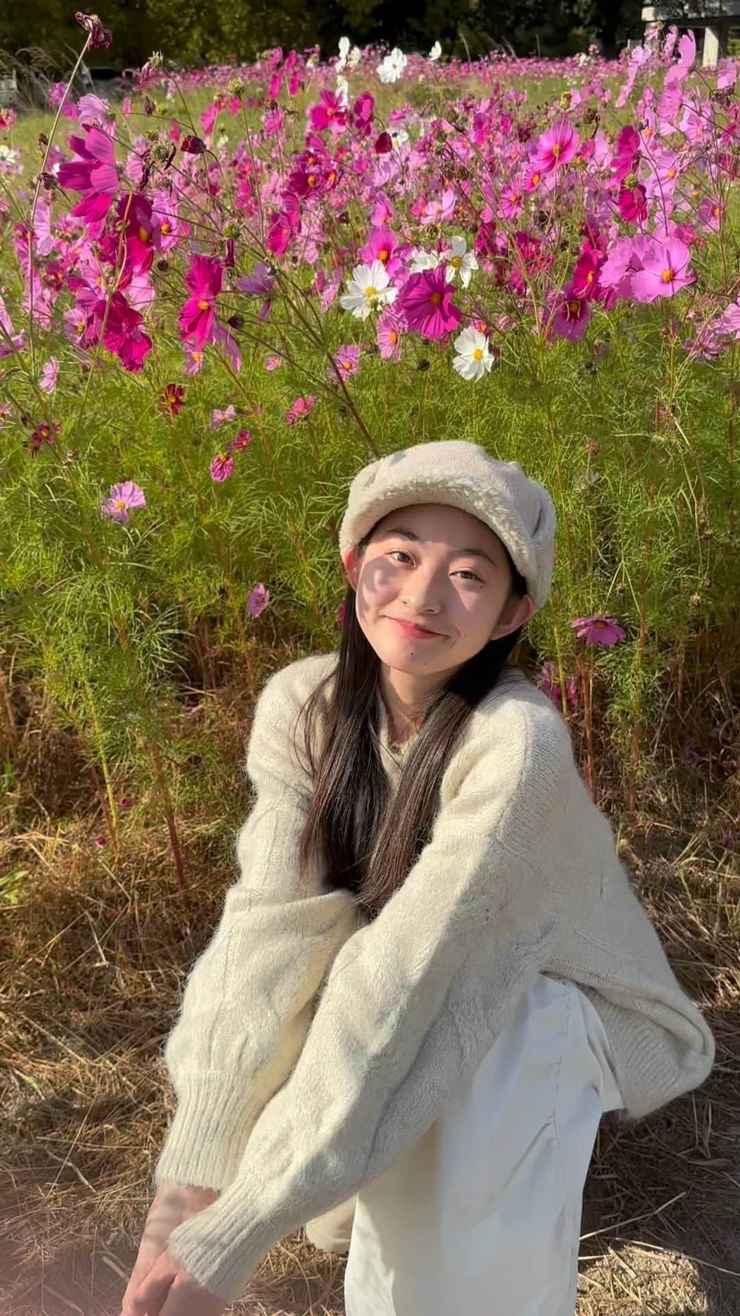 Ayamiのインスタグラム：「コスモスが一面に広がっていてピンクの絨毯みたいだった🌸  .  #コスモス #コスモス畑 #こすもす #ピンクの絨毯 #アヤミ #秋桜  #秋  #秋コーデ  #帽子  #ピンク  #ピンクの絨毯  #お花」