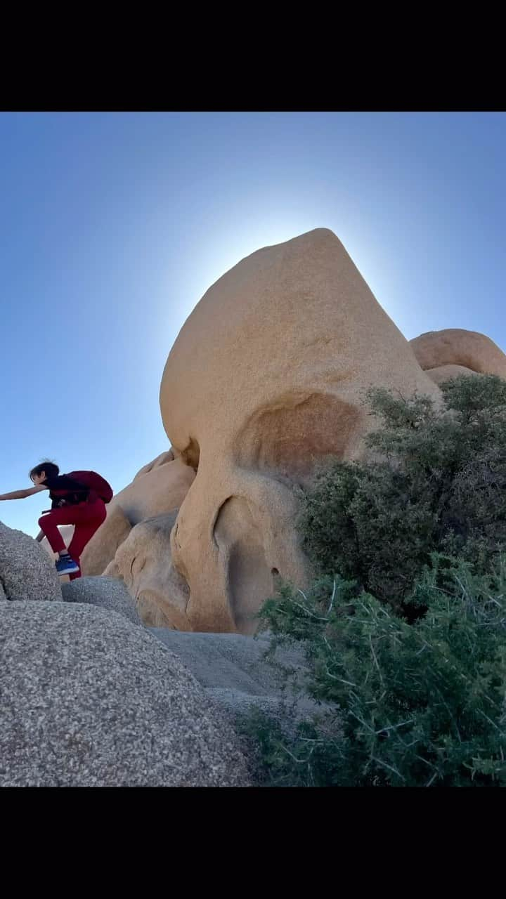 オータム・リーザーのインスタグラム：「Halloween / Skull Rock / Joshua Tree 🌵 ⛺️  Mission accepted: Staying connected to Mother Earth and each other. Keeping our hearts open to anchor love during these heavy times. Remembering that the veil is thin and that our prayers matter.」