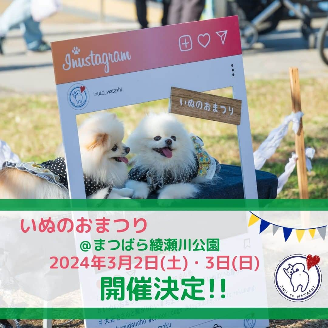 甲斐麻美のインスタグラム：「・ いぬのおまつりin草加！  2019年の4年前、 たったの3店舗からsosoparkで始めた 小さな小さないぬのおまつり。  出店者さんは知り合いに声を掛け、 お願いして出てもらい、 勇気を出して公募を始めたのは2021年の秋。  楽しくハッピーにわたしたちらしく 等身大の歩みを進めていたら、 「いぬのおまつり」はいつの間にか たくさんの方々から愛されるイベントに 成長してくれてた！  そんな感覚です。  雨で中止になったことも、 ドタバタてんてこまいな経験も、 小学生並みの日焼けも！？ 全てがわたしたちの肥やしになっています。  犬が好きということ、ワクワクに正直なところ、 やってみよー！というポジティブマインドを いつも応援してくれる奏草舎さんwithぶちさんと一緒に  2024年3月2日㈯、3日㈰に 埼玉県草加市 まつばら綾瀬川公園(旧綾瀬川左岸広場)で いぬのおまつりを開催します！  普段のいぬのおまつりに加えて、 ペット防災やドッグランなどの学びの時間、 お散歩クリーンアップ楽団！など 楽しい企画も続々計画中。  まずは11/1、わんわんわんの日に ＼草加市で開催します！／と宣言できたことが とても嬉しいです！🥰 草加市のワンコ連れOKなお店を中心とした グルメとキッチンカーも多数出店。 皆さま、お楽しみに。  そして、出店者さんの募集も近日中に始まりますので こちらも気になる方は、予定を開けておいて下さいね🐕‍🦺💓  ============  いぬのおまつり ============  ■日時：2024年3月2日(土)・3(日) 10:00～16:00 ※雨天中止 場所：まつばら綾瀬川公園(旧綾瀬川左岸広場) 東武スカイツリーライン獨協大学前駅東口 徒歩約8分  #いぬのおまつり　 #埼玉県 #草加市 #草加グルメ #草加最高 #松並木 #イベント運営 #いぬとわたし #犬との暮らし #犬ファースト #犬好きさんと繋がりたい #犬がいないと生きていけません #犬好き #犬のイベント #犬イベント #犬とお出かけ #いぬすたぐらむ」