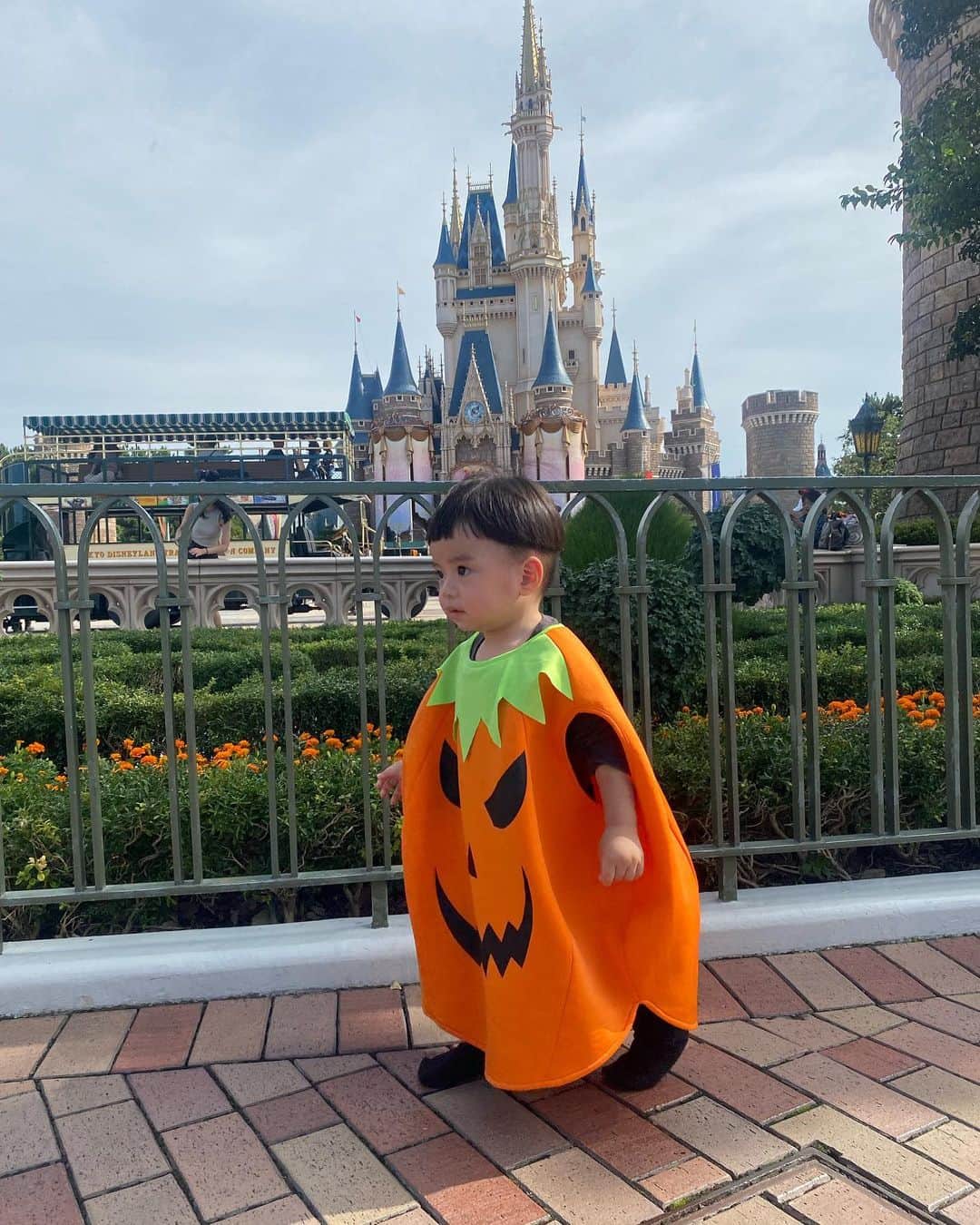 菅長愛子のインスタグラム：「👻🍭🎃💜  #halloween   ハピハロ🧡💀 今年はパンプキン・ミッキー。  ディズニー行く直前に買ったパンプキン🎃 2,3才サイズだからブカブカだけどそれもかわいい🧡  パンプキンを拒否した時のために、ミッキーパンツも持って行ってよかった🐭(拒否はしなかったけど暑くてパンプキン脱いだ🎃) カチューシャや帽子をかぶってくれないから最終的にはスタンプと落書きで加工←  かわいかったなぁ🧡 来年も楽しみ👦🏻  #happyhalloween  #1y4m  #男の子キッズ」